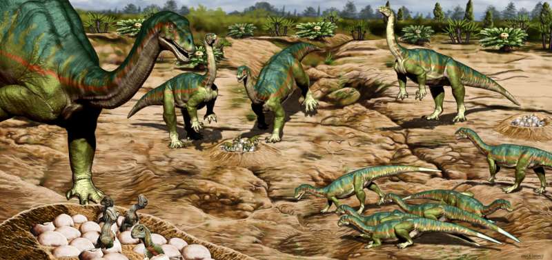 Early dinosaurs were sociable