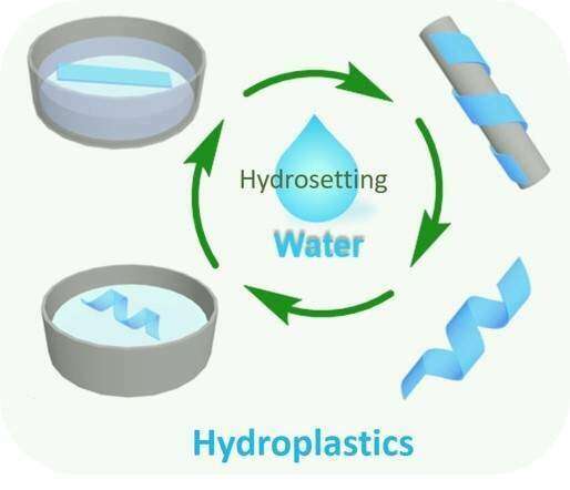 Eco-friendly plastic from cellulose and water