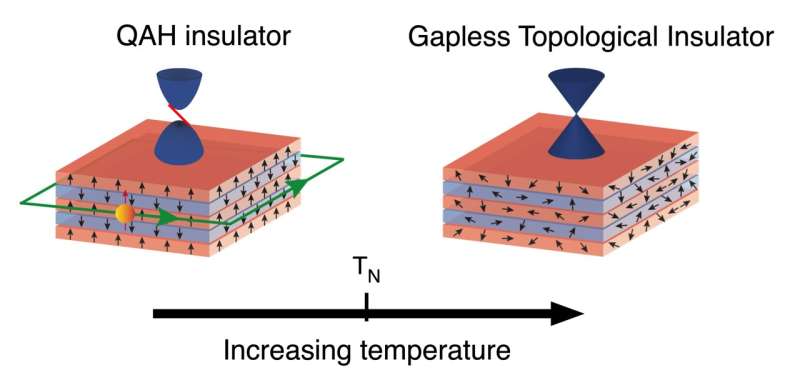 Electrons on the edge: the story of an intrinsic magnetic topological insulator