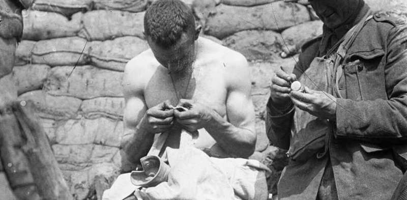 Endless itching: how Anzacs treated lice in the trenches with poetry and their own brand of medicine
