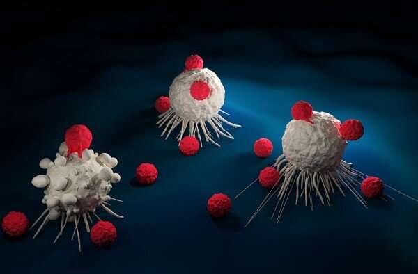 Engineering CAR T cells to deliver endogenous RNA wakes solid tumors to respond to therapy