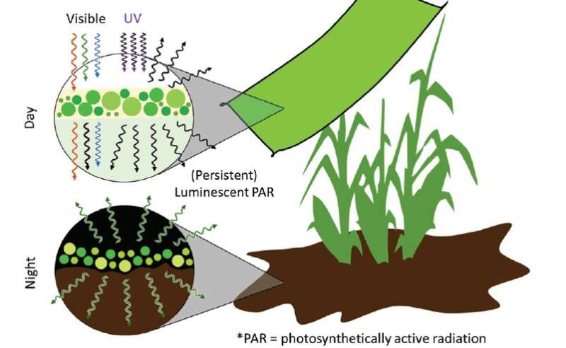 Engineering light availability for crop production—a solution for coming challenges?