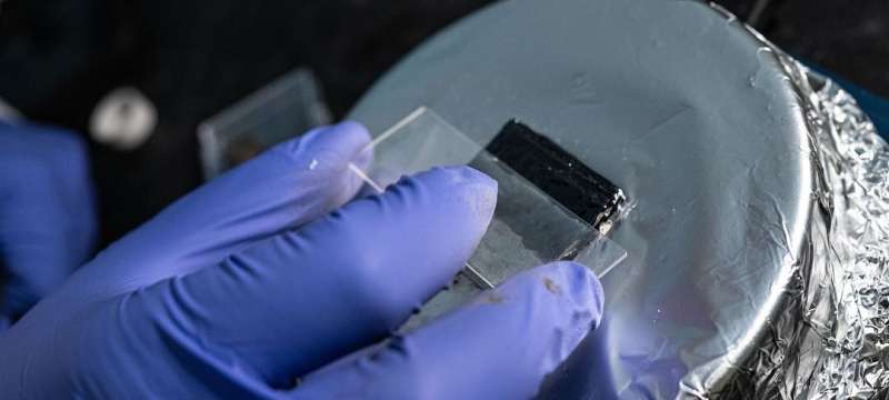 Engineers develop flexible, self-healing material to protect steel from the elements