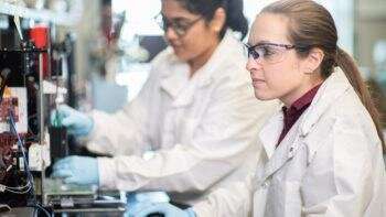Engineers grow 3D bioprinted blood vessel
