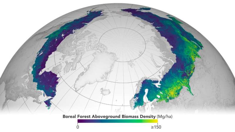ESA and NASA release the first globally harmonized assessment of above ground biomass