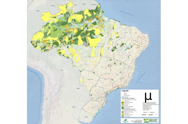 Even if Bolsonaro leaves power, deforestation in Brazil will be hard to stop