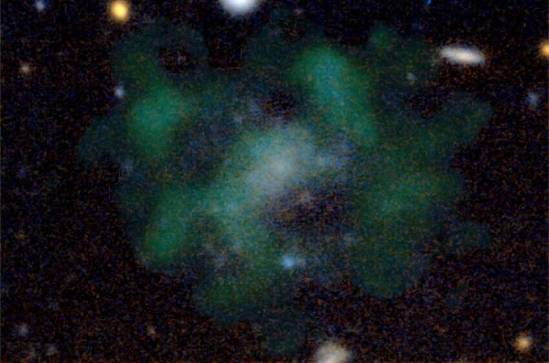Evidence emerges for dark-matter free galaxies