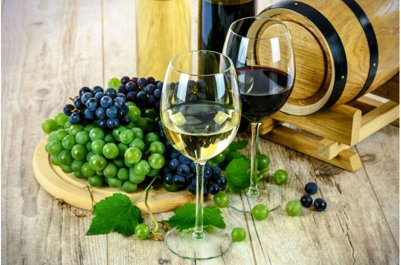 Evidence mounts that eco-friendly wine tastes better