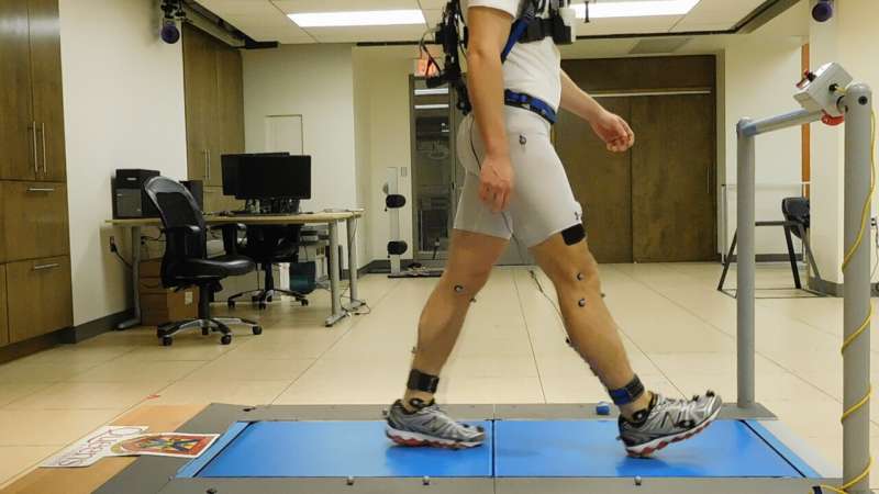 Exoskeleton reduces amount of work required to walk