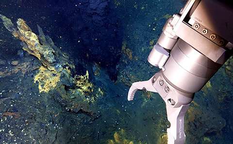 Expedition completes deep sea exploration of hydrothermal vents, 4 km under ice