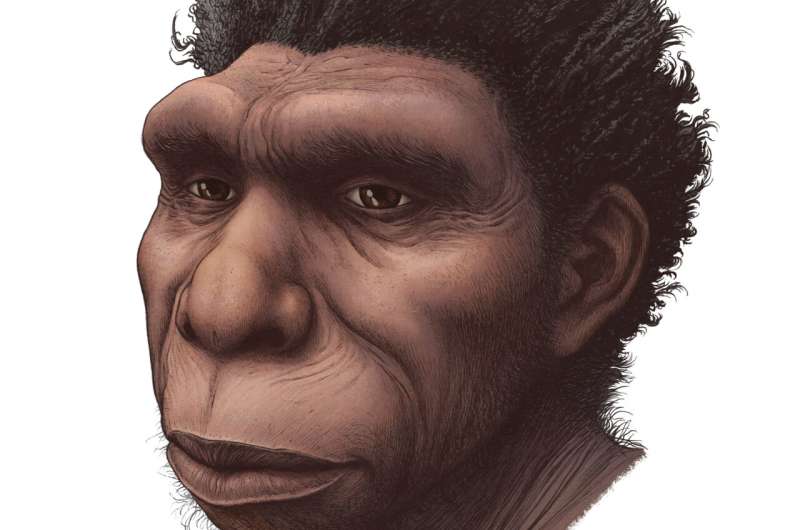 Experts name new species of human ancestor