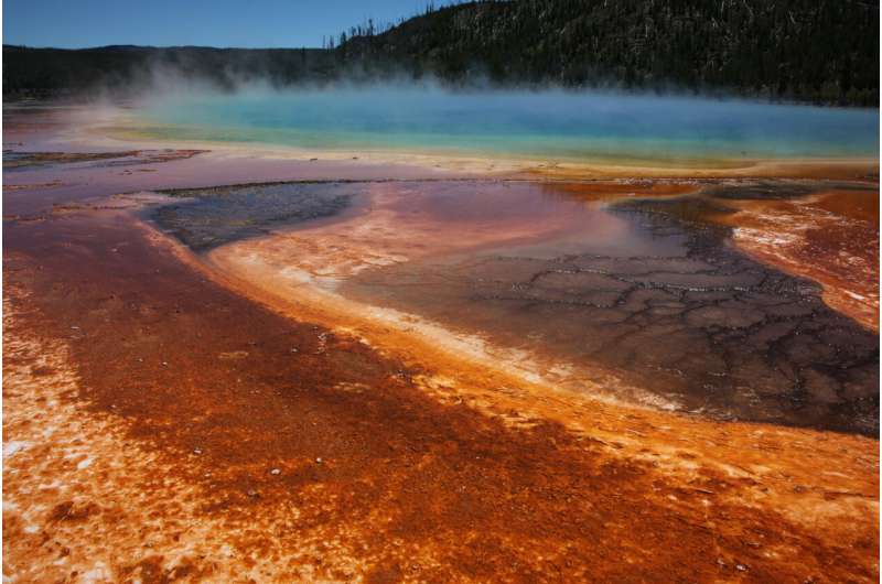Extremophiles could hold clues for climate change-tackling technologies