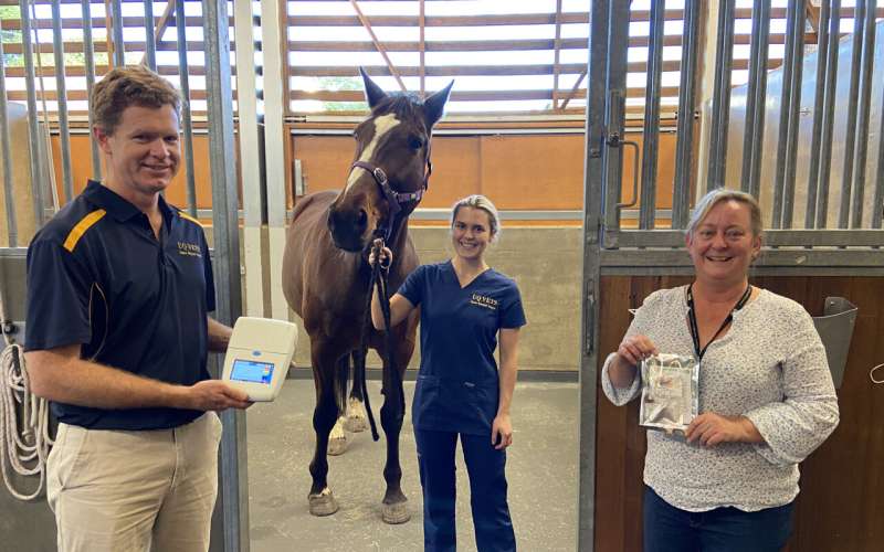 Faster diagnosis of deadly Hendra virus in horses