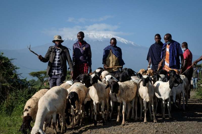 Fenced farming threatens the timeless lifestyle of Masai herders, say local landowners