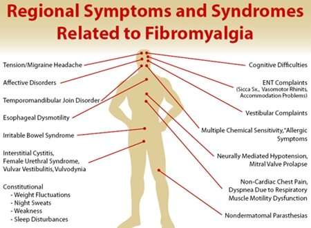 Fibromyalgia likely the result of autoimmune problems