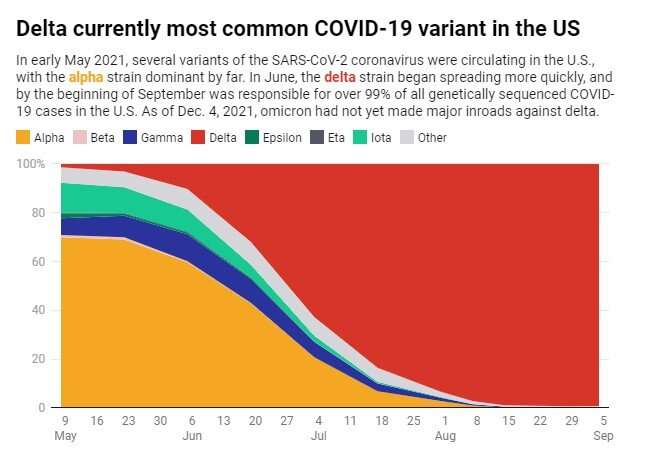 Figuring out omicron – here's what scientists are doing right now to understand the new coronavirus variant