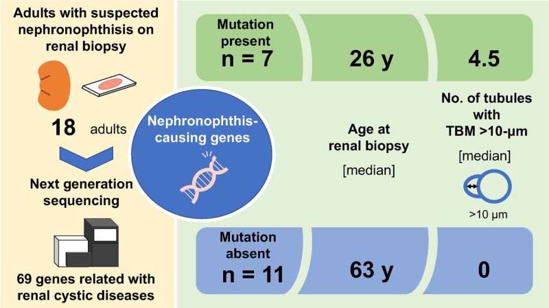 Finding clues to nephronophthisis in adults