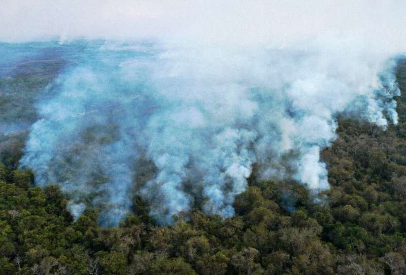 Fires scorched through a third of Brazil's Pantanal wetlands in 2020