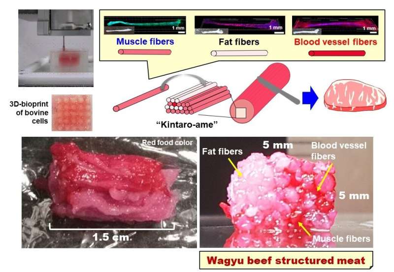 First 3D-bioprinted structured Wagyu beef-like meat