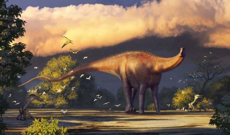 First rebbachisaurid dinosaur remains found in Asia