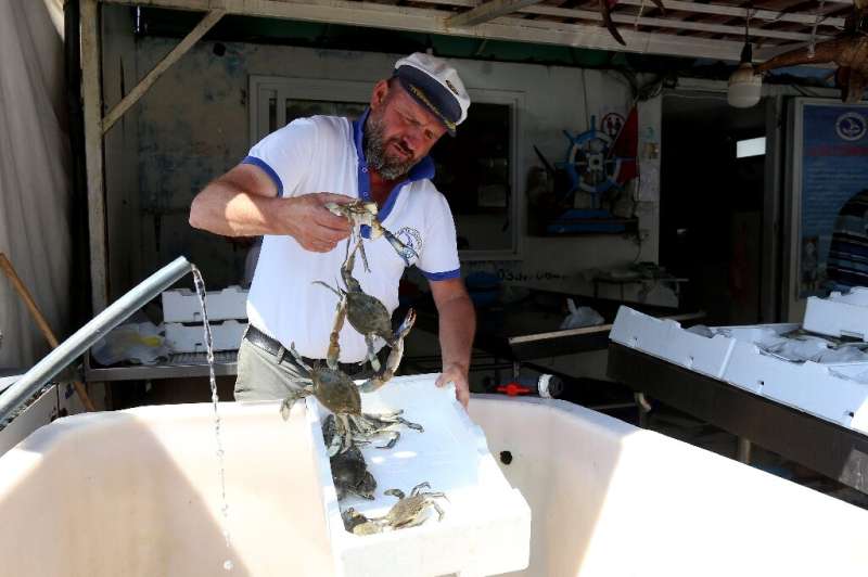 Fisherman Baci Dyrmishaj says the invasive blue crab destroys his nets and attacks his catch