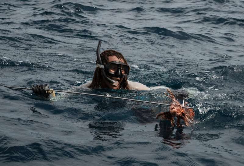 Fisherman William Alvarez comes out of the water with a lionfish, an invasive species that is terrorizing Venezuela's coast