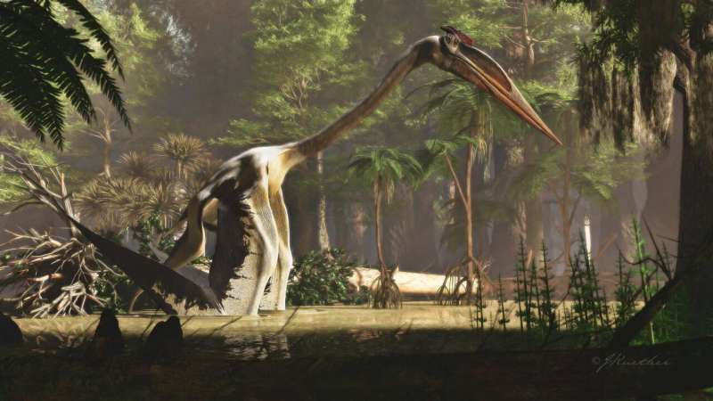 Fleshing out the bones of Quetzalcoatlus, Earth's largest flier ever