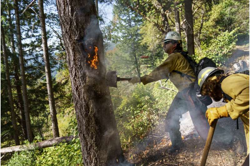 For tribes, 'good fire' a key to restoring nature and people
