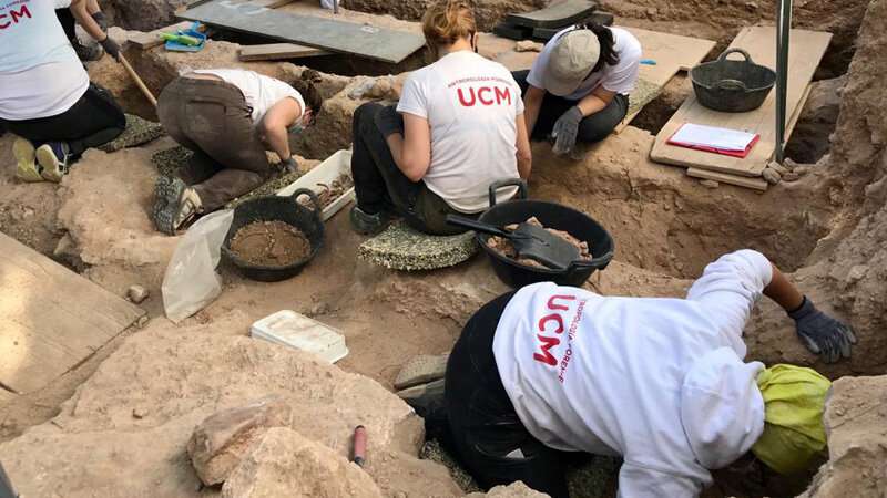 Forensic archaeologists begin to recover Spanish Civil War missing