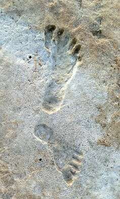 Fossil footprints prove humans populated the Americas thousands of years earlier than we thought