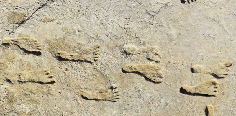 Fossil footprints prove humans populated the Americas thousands of years earlier than we thought