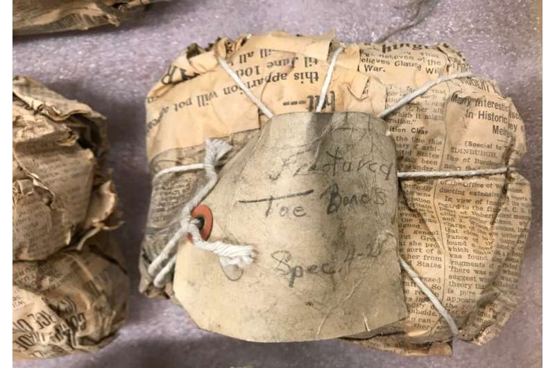 فسیل های کاوش شده 100 سال پیش، کشف مجدد، پیچیده شده در یک روزنامه قدیمی