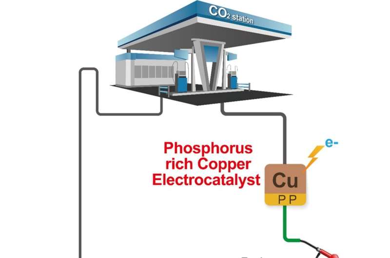 From waste to wealth: Converting CO2 into butanol using phosphorous-rich copper cathodes