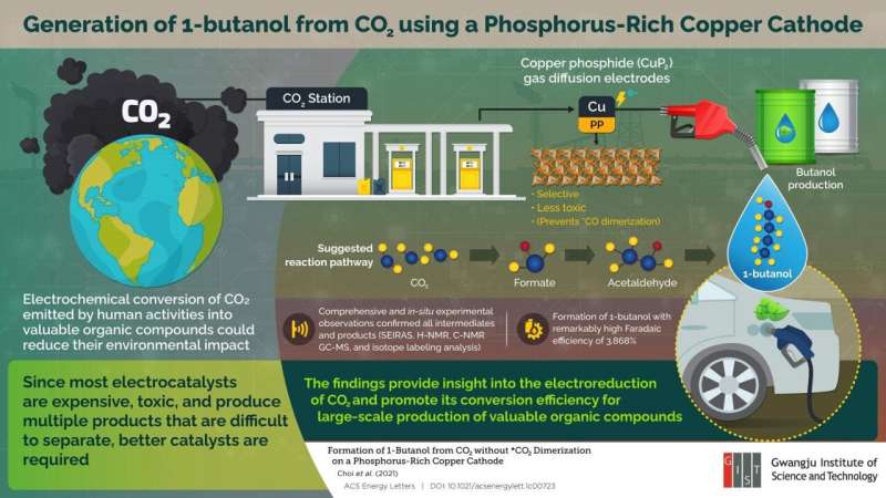من نفايات إلى ثروة: تحويل ثاني أكسيد الكربون إلى بيوتانول باستخدام كاثودات النحاس الغنية بالفوسفور