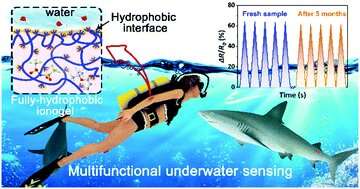 Fully hydrophobic ionogel developed for wearable underwater sensor and communicator
