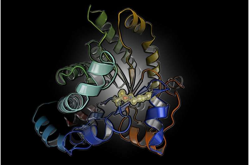 Fundamental regulation mechanism of proteins discovered