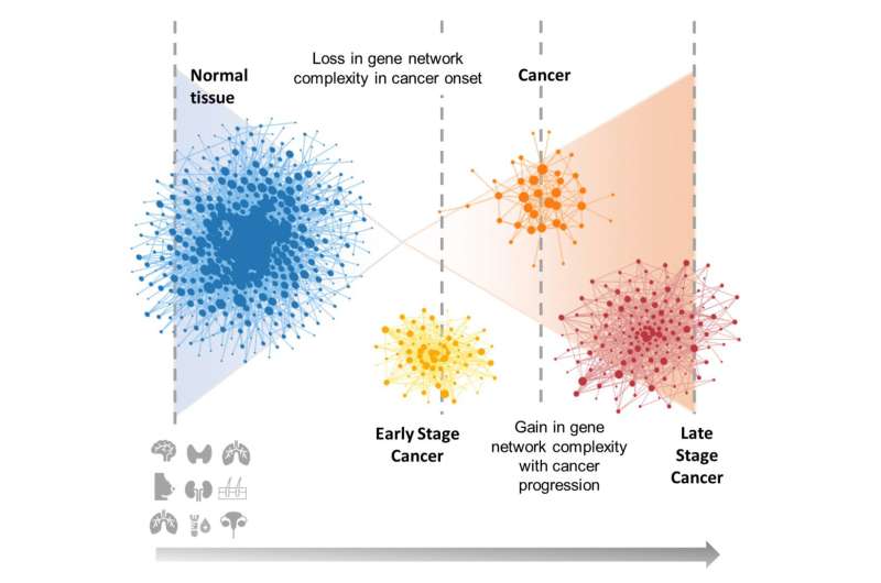 Gene Network changes associated with cancer onset and progression identify new candidates for targeted gene therapy
