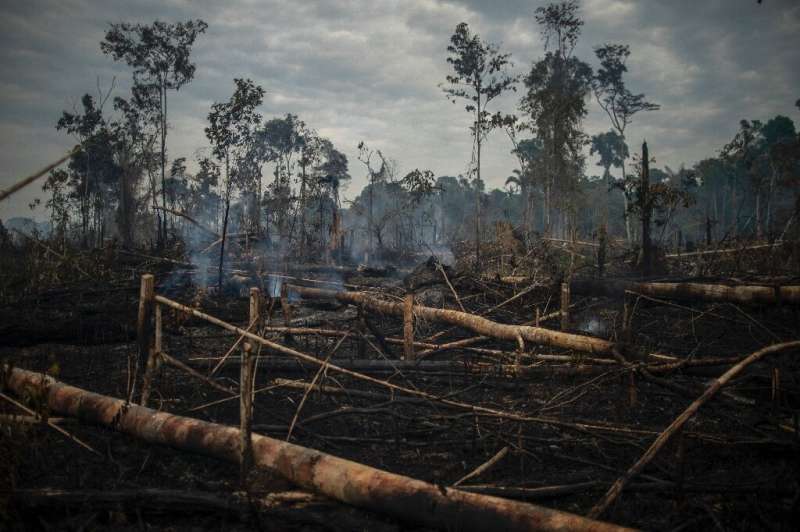 General view of a burnt area of the Amazon rainforest outside the city of Porto Velho in Brazil in September 2021