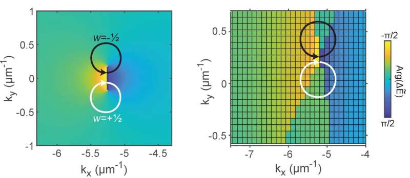 Generating topology from loss in hybrid light-matter particles