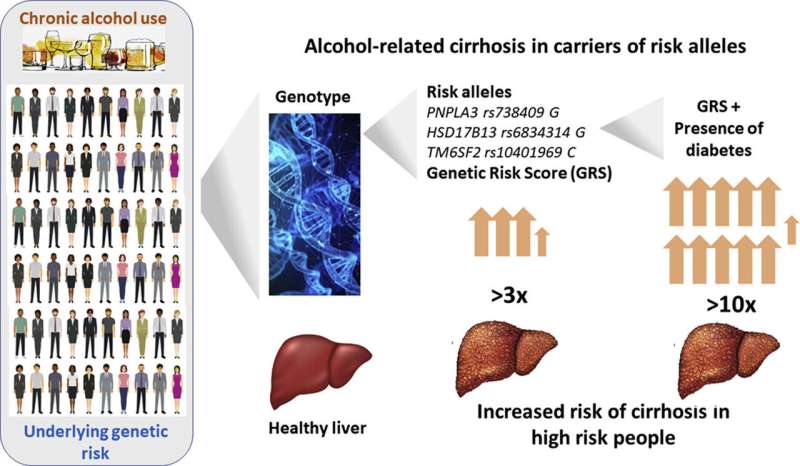 Genetic risk test developed to predict alcohol-related cirrhosis of the liver
