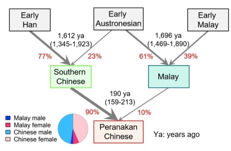 Genomic analysis of Peranakan Chinese reveals insight into ancestry