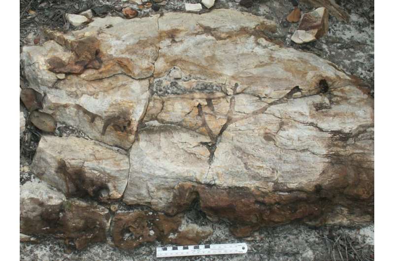 Geologists solve half-century-old mystery of animal traces in ancient rocks