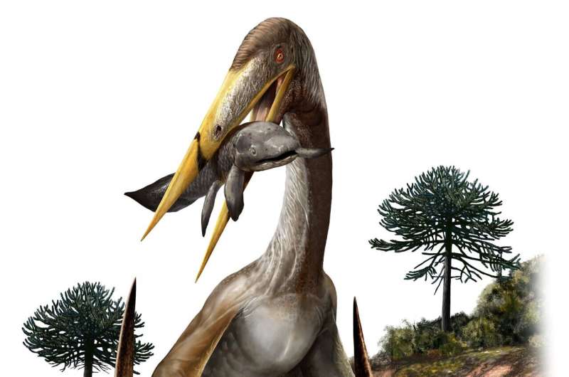 Gigantic flying pterosaurs had spoked vertebrae to support their 'ridiculously long' necks