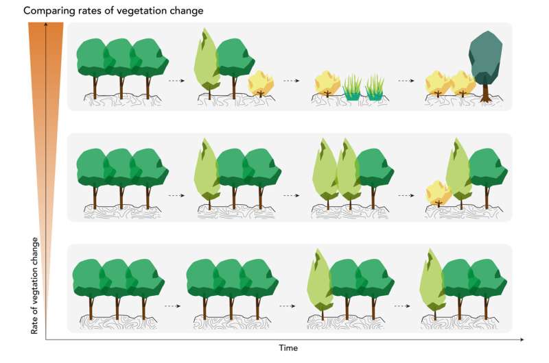 Las muestras globales de polen revelan la tasa de cambio de la vegetación