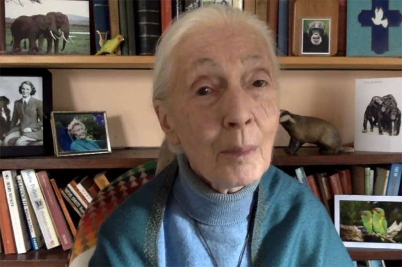 Goodall, 87, has dedicated her life to better understanding the animal kingdom and promoting conservation efforts