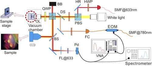 Graphene drum: Researchers develop new phonon laser design