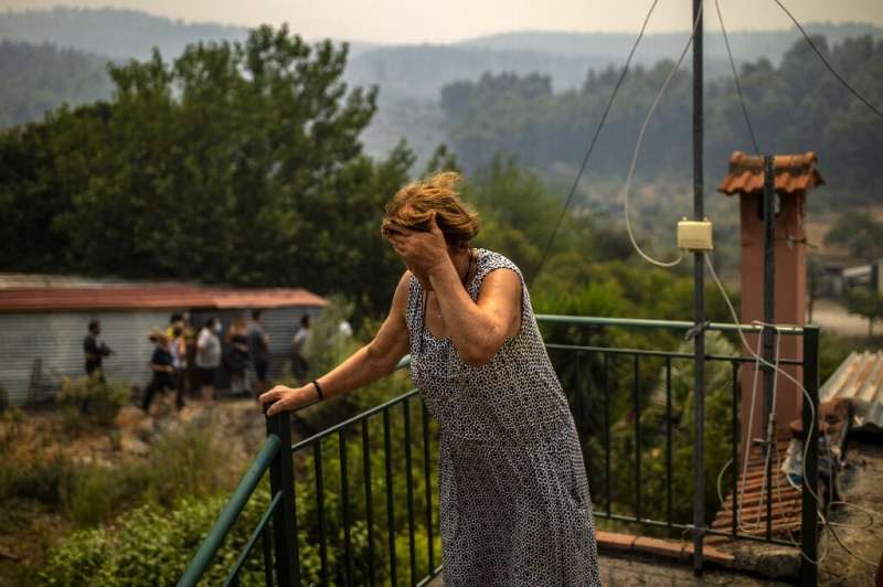 Greece has only just started counting the cost of the damage caused by the weeks of fires