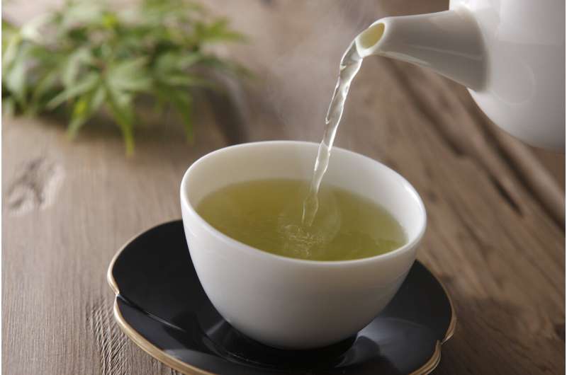 Green tea compound aids p53, 'guardian of the genome' and tumor suppressor