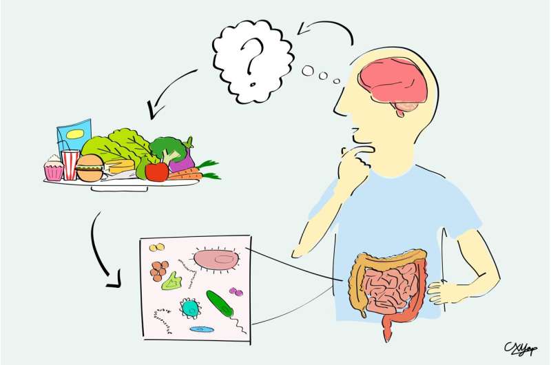 Gut microbiota differences seen in people with autism may be due to dietary preferences