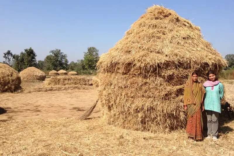 Helping India’s smallholder farmers